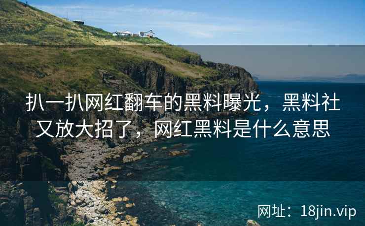 扒一扒网红翻车的黑料曝光，黑料社又放大招了，网红黑料是什么意思