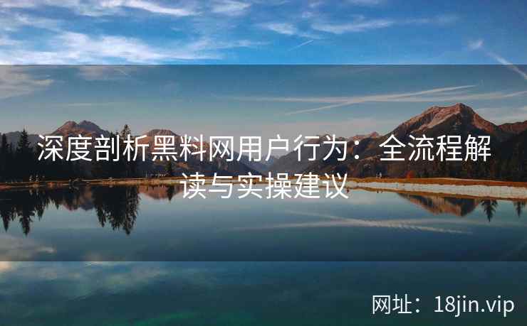 深度剖析黑料网用户行为：全流程解读与实操建议