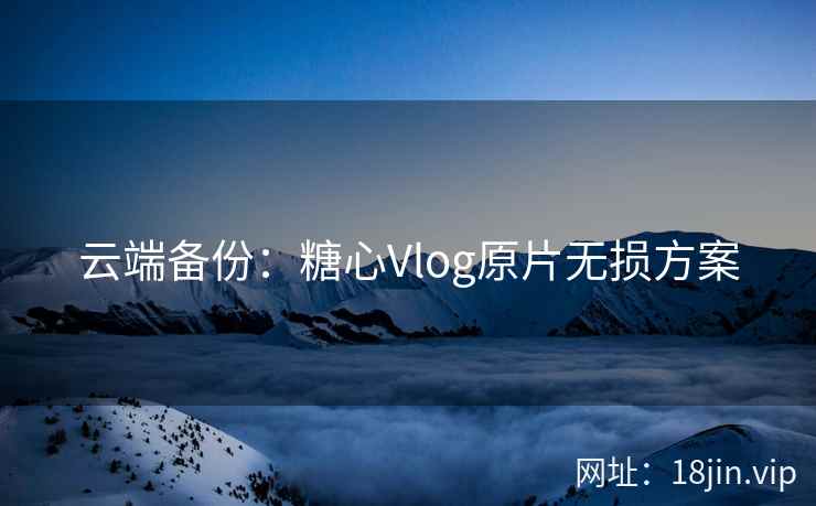 云端备份：糖心Vlog原片无损方案