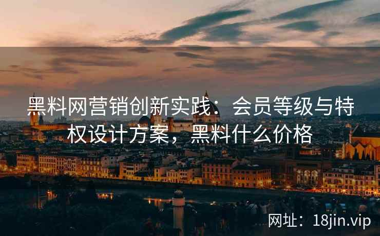 黑料网营销创新实践：会员等级与特权设计方案，黑料什么价格