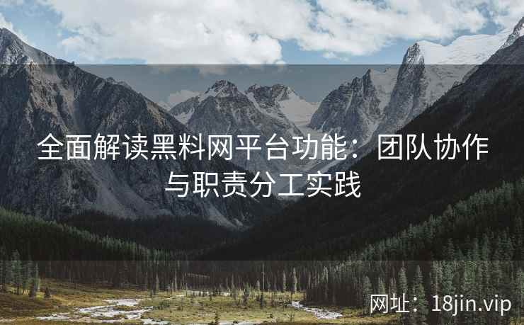 全面解读黑料网平台功能：团队协作与职责分工实践