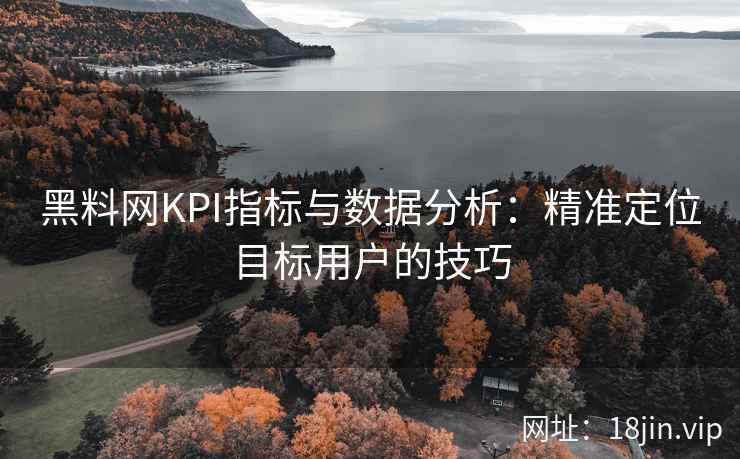 黑料网KPI指标与数据分析：精准定位目标用户的技巧